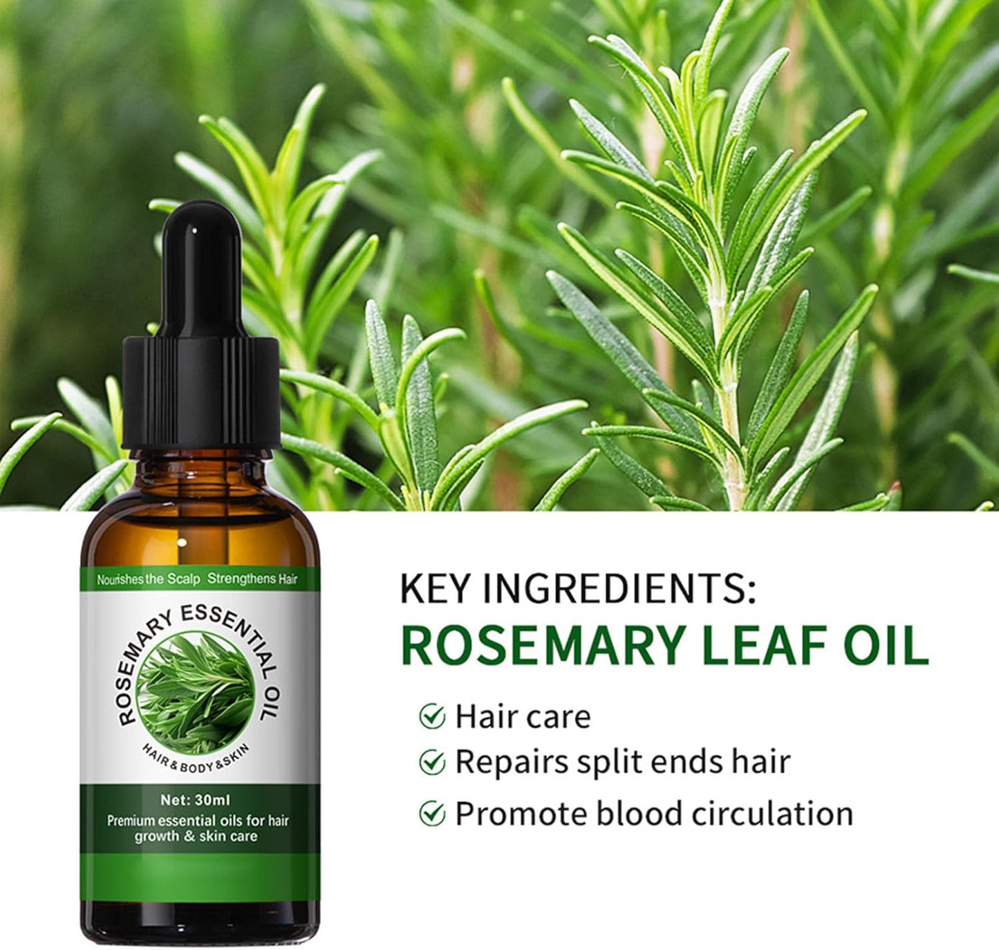 Rosemary Essential Oil - Massage Oil - Body Oil for Skincare, Massage, Bathing - Nourishes Skin and Repairs Split Ends Hair - Non-Sticky,Fast-Absorbing